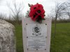 16th February 2012 Thursday 1 021.jpg