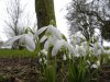 21st February 2012 Tuesday 038.jpg