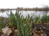 21st February 2012 Tuesday 039.jpg