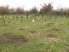 2nd March 2012 Friday 056.jpg