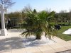 6th March 2012 Tuesday 076.jpg