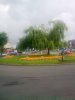 yardley 045.jpg