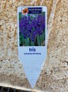 iris label.jpeg