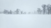 thumbnail (10).jpeg