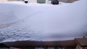 thumbnail (5).jpeg