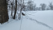 thumbnail (2).jpeg