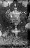 aston cup.jpg