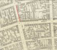 map 1880s showing Henry st between Lupin St and Francis St.jpg