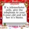 Telemrketer - Santa .jpg