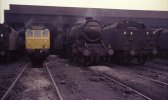 5MT 44816 and D7602 Warrington 1967.jpg