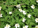 IMG_8132.jpeg