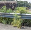 IMG_3060.jpeg
