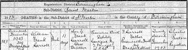 COL128517_2021-1-William_Frank_Carroll-page-001 (1) small.jpg
