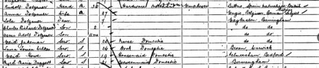 1901 census Anna G H.JPG
