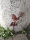 IMG_1471.jpeg