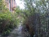 IMG-20130515-00334.jpg