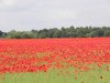 25th June 2013 Tuesday 002.jpg