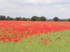 25th June 2013 Tuesday 003.jpg