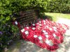 6th July 2013 Saturday 132.jpg