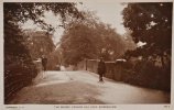 #162 - Cannon Hill Park - c1915 - Bridge.jpg