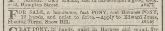 Pony ADVERT - Birmingham Daily Gazette 23 April 1867.png