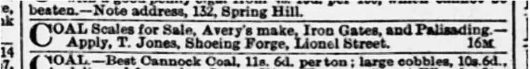 Thomas Jones advert - Birmingham Mail 13 + 14 March 1885 .png