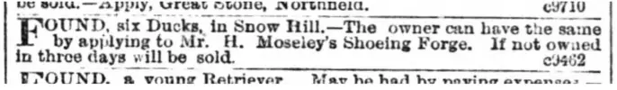 Mosely Six Ducks - Birmingham Daily Post 16 September 1878.png