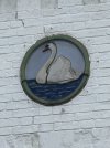 IMG_7022.jpeg