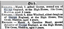 Coleshill Chronicle - Saturday 13 March 1886.JPG