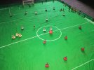 Subbuteo 2.jpg