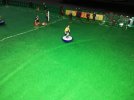 Subbuteo 3.jpg