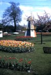 12-21-2011_014 196205B016Cannon Hill Park Tulip Festivalx.jpg