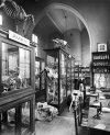 Edmund Street Mason College Natural History Museum interior 1897.jpg