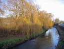 IMG_8168.jpeg
