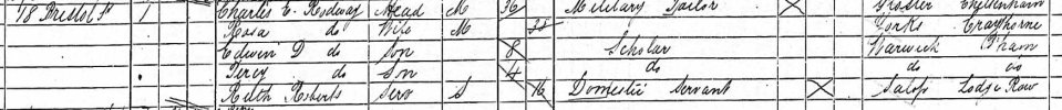 1891 census.jpg