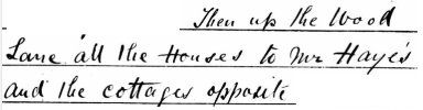 1881 census description.jpg