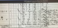 1901 census Mary Ann Harrison.jpg