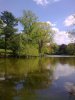 Moseley Park.jpg