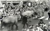 Circus passing Bedders Coventry Rd .jpg