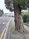 Kineton Green Rd. nr. Brook Ln._1.jpg