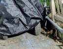 thumbnail - 2025-05-18T013338.730.jpg