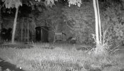 IMG_5145.jpeg