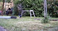 IMG_5148.jpeg