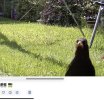 IMG_5231.jpeg