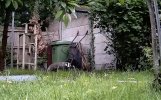 IMG_5286.jpeg