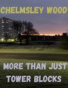 Chelmsley Wood More Than Just Tower Blocks.jpeg