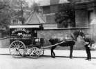Hardings delivery with horse bullet. Byron road 1920.jpeg