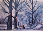 Winter walk.JPG