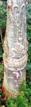 DSC07188.JPG
