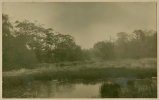IMG_5538.jpeg